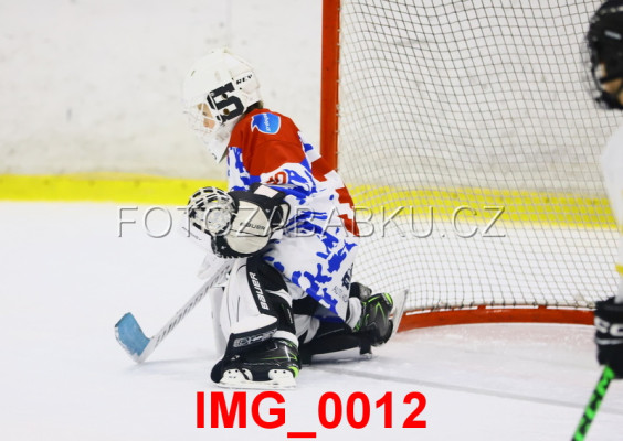 20251122-r2018-Ricany